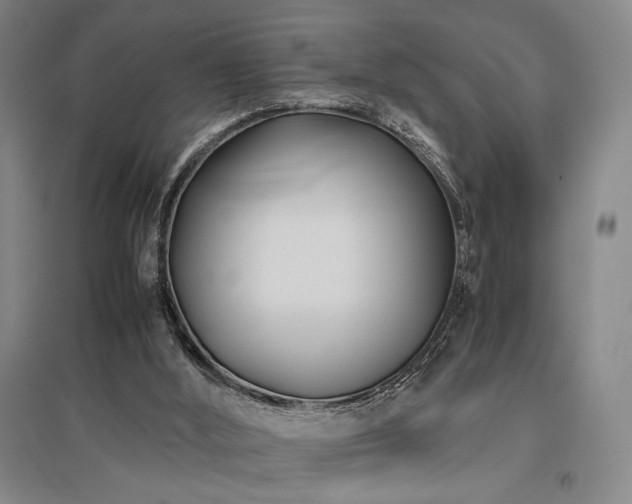 X0000095910012200801111243