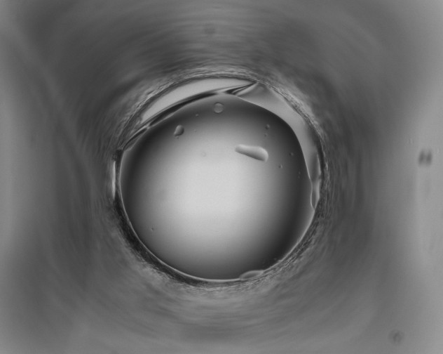 X0000095910013200801111243