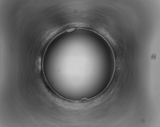 X0000095910014200801111243