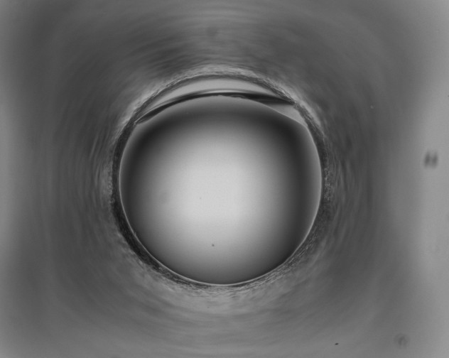 X0000095910015200801111243