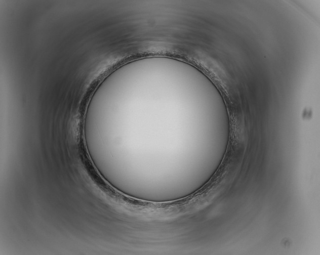 X0000095910016200801111243