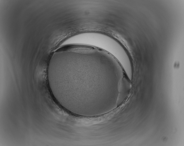 X0000095910017200801111243