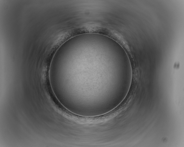 X0000095910018200801111243