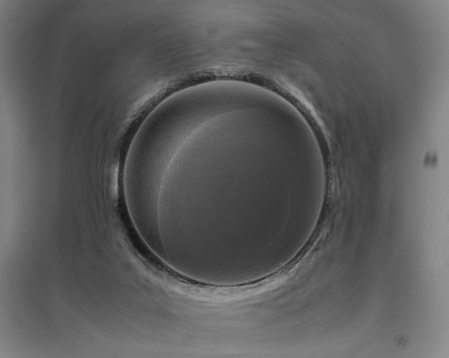 X0000095910019200801111243