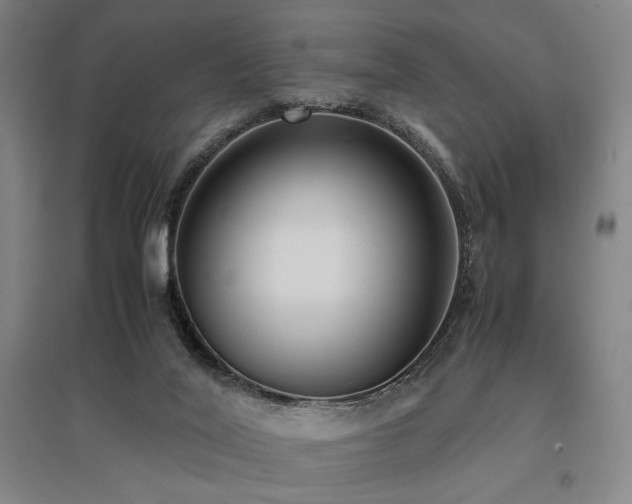 X0000095910020200801111243