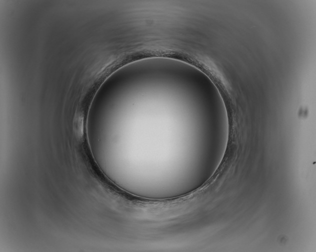 X0000095910021200801111242