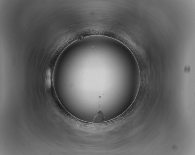 X0000095910022200801111242