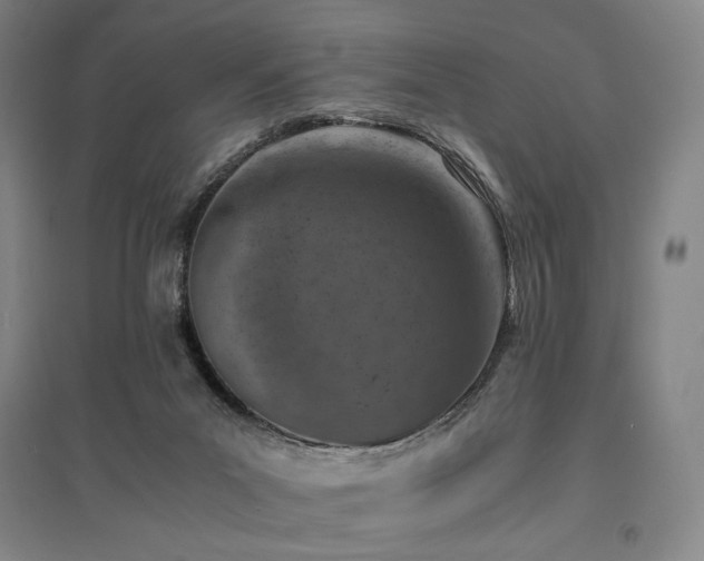 X0000095910023200801111242