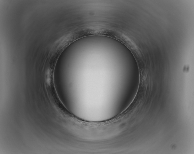 X0000095910026200801111242