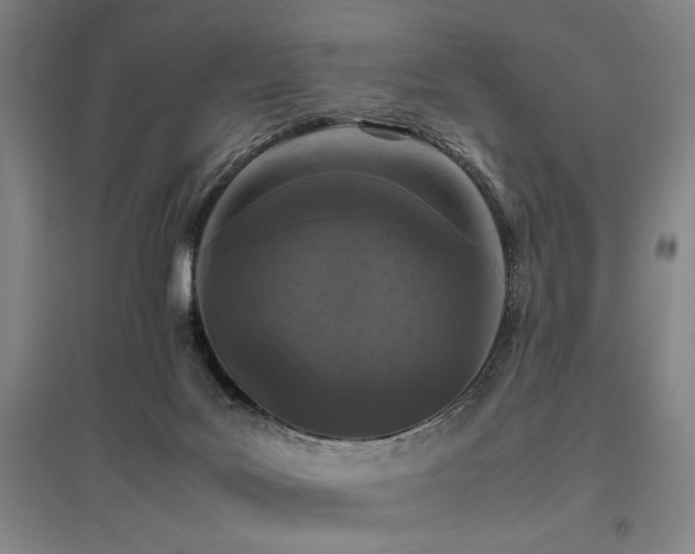 X0000095910027200801111242