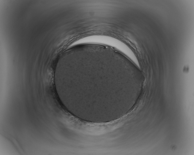 X0000095910029200801111242