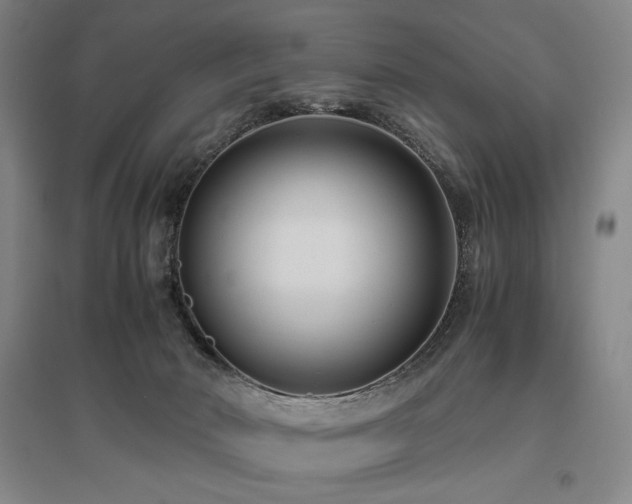 X0000095910030200801111242