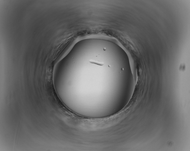 X0000095910033200801111242