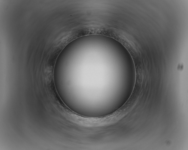 X0000095910034200801111242