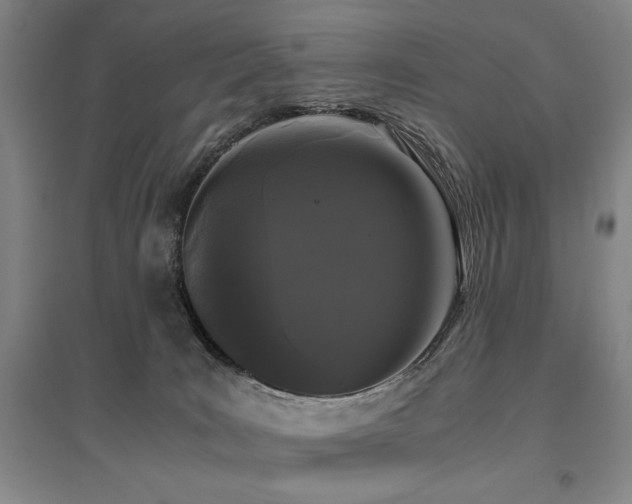 X0000095910035200801111242