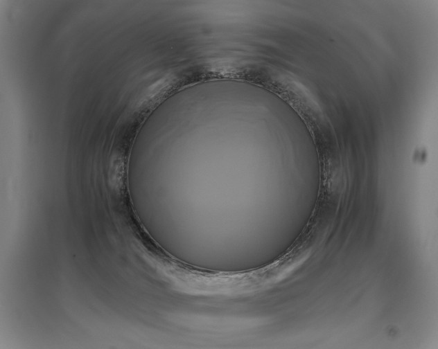 X0000095910036200801111242