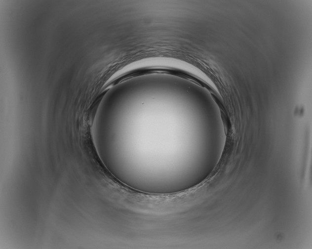 X0000095910037200801111242