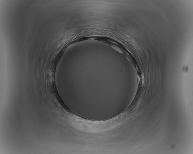 X0000095910039200801111242