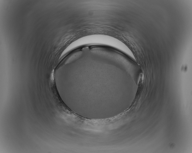 X0000095910041200801111242