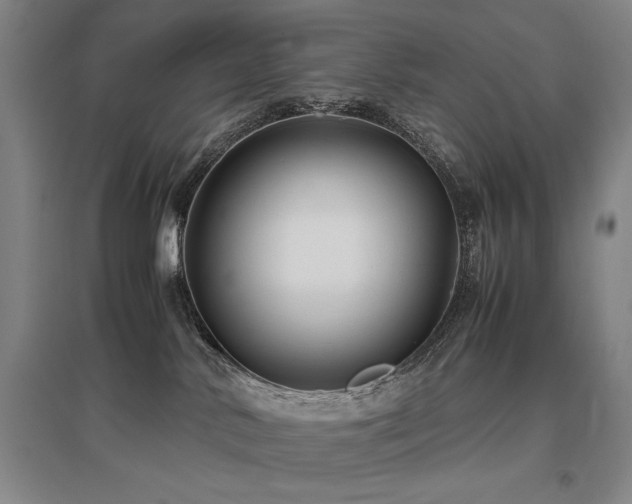 X0000095910042200801111242