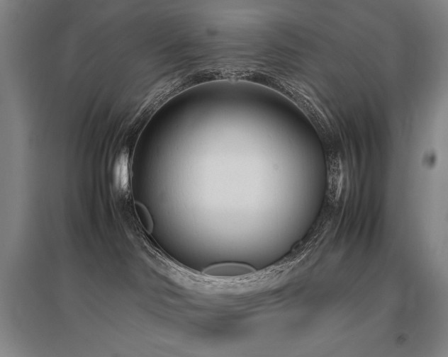 X0000095910046200801111242