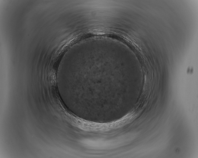 X0000095910048200801111242