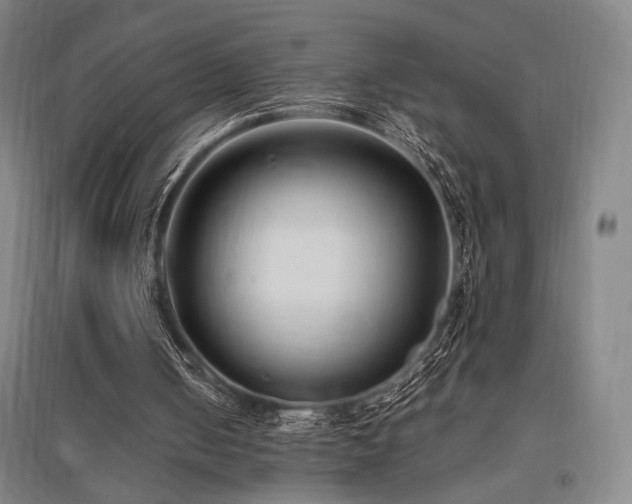 X0000095910050200801111241