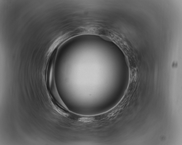 X0000095910051200801111241