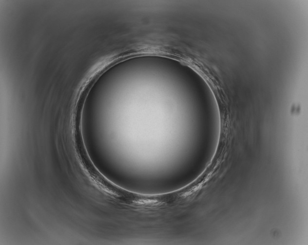 X0000095910055200801111241