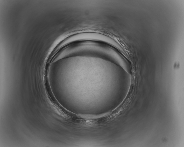 X0000095910056200801111241