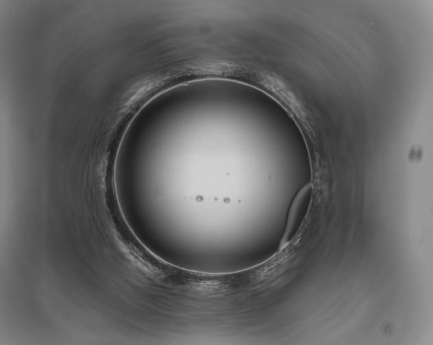 X0000095910058200801111241