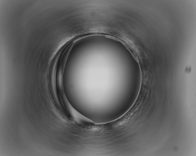 X0000095910060200801111241