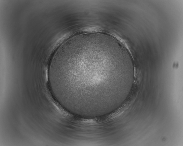 X0000095910061200801111241