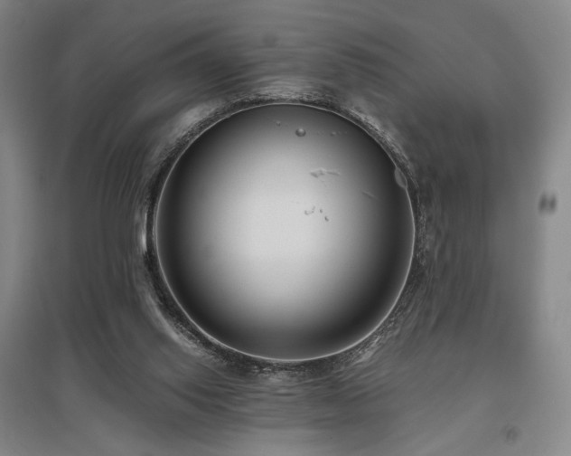 X0000095910062200801111241