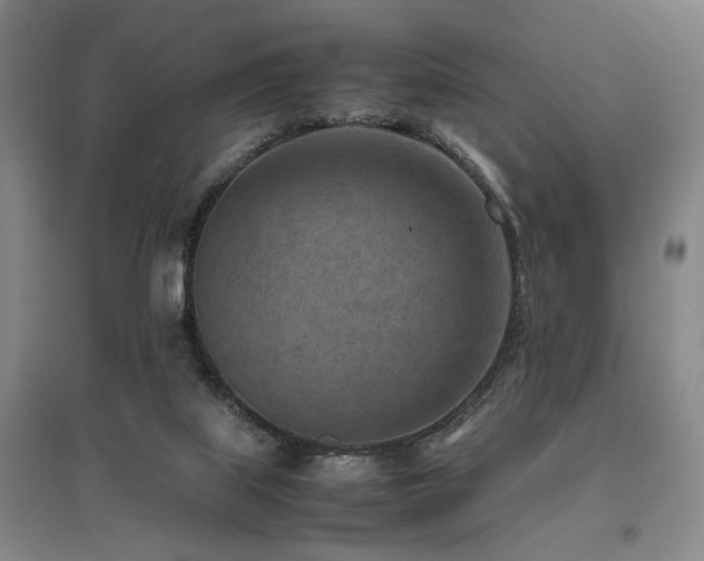 X0000095910067200801111242