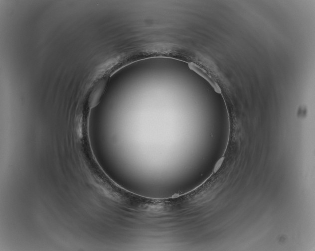 X0000095910068200801111242