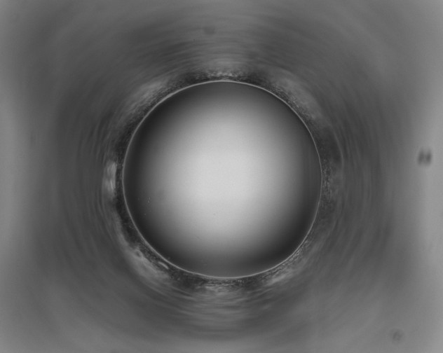 X0000095910070200801111242