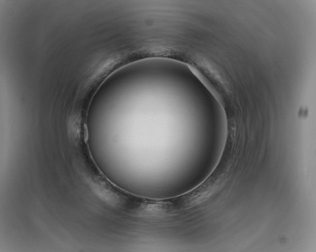 X0000095910072200801111242