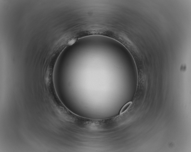 X0000095910074200801111242