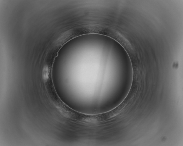 X0000095910075200801111242