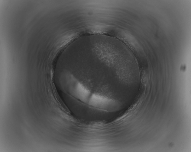 X0000095910076200801111242