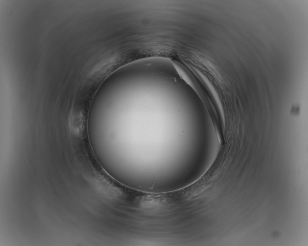 X0000095910077200801111242