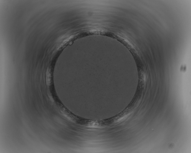 X0000095910080200801111242