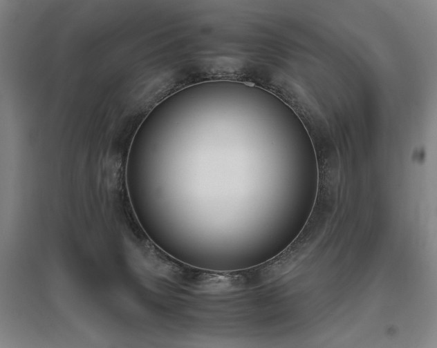 X0000095910083200801111242