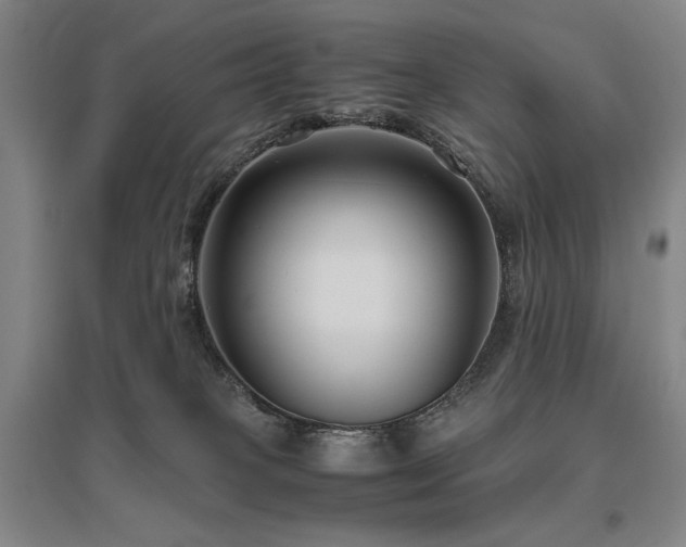 X0000095910085200801111242