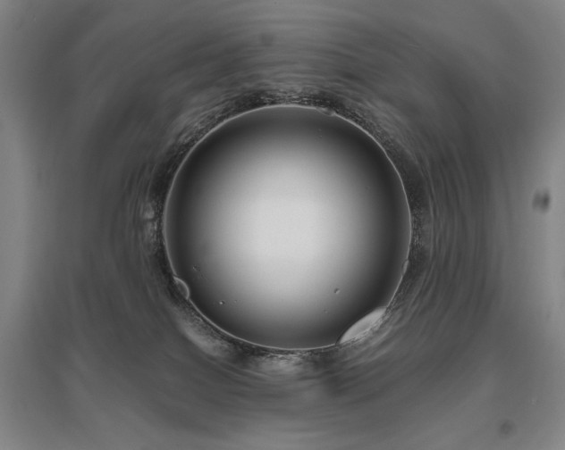 X0000095910086200801111242