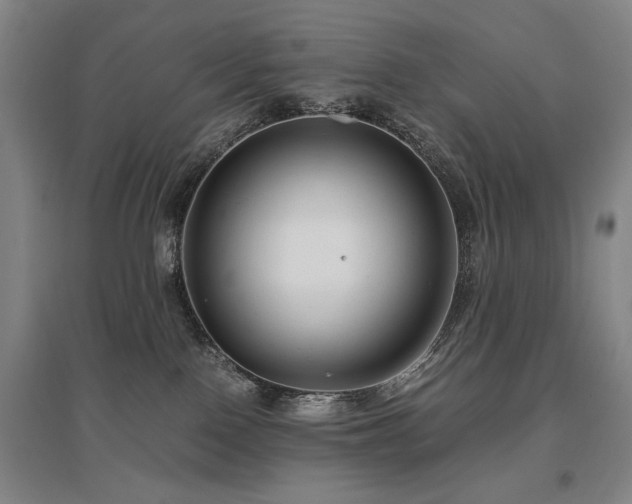 X0000095910090200801111242