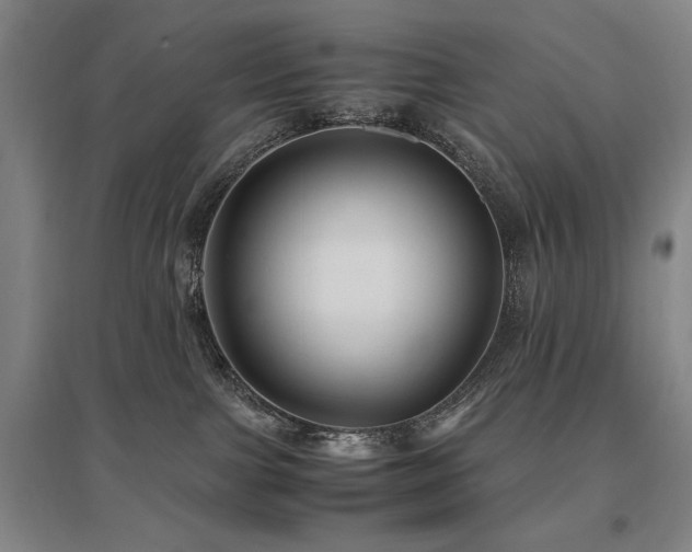 X0000095910091200801111242