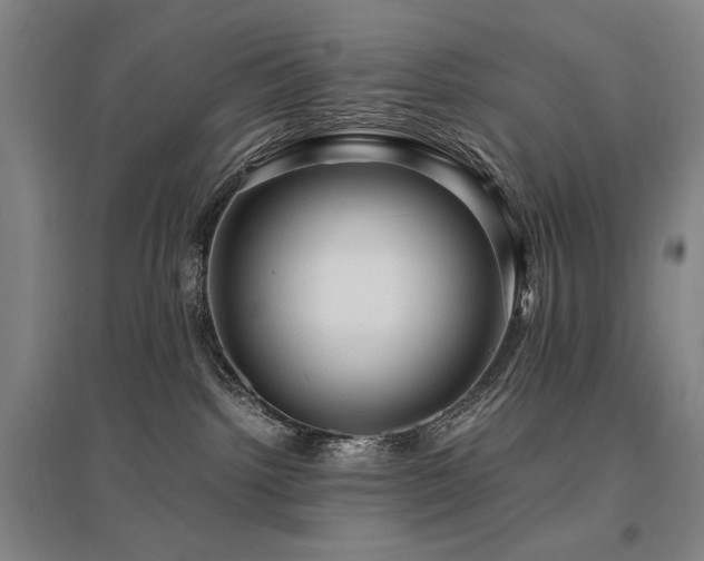 X0000095910092200801111242