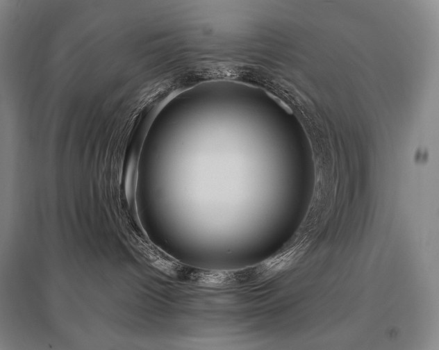 X0000095910096200801111242